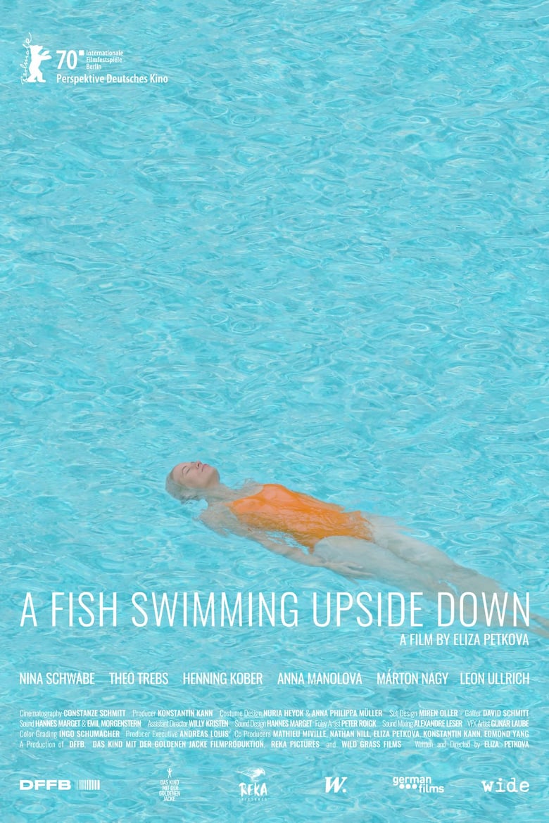 A Fish Swimming Upside Down